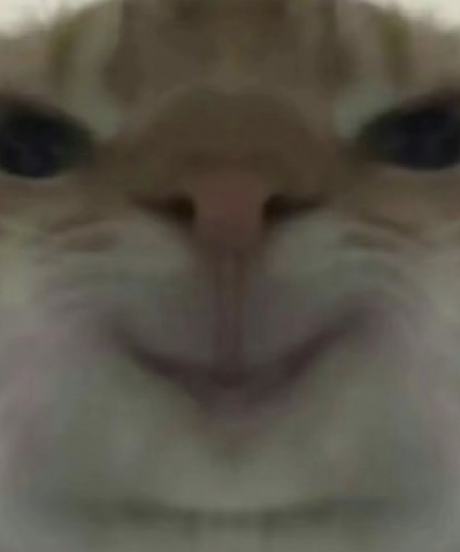 d大白b